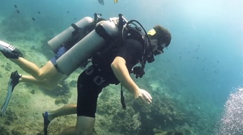 What should divers do for their own safety